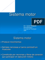 Margulis Sistema Motor