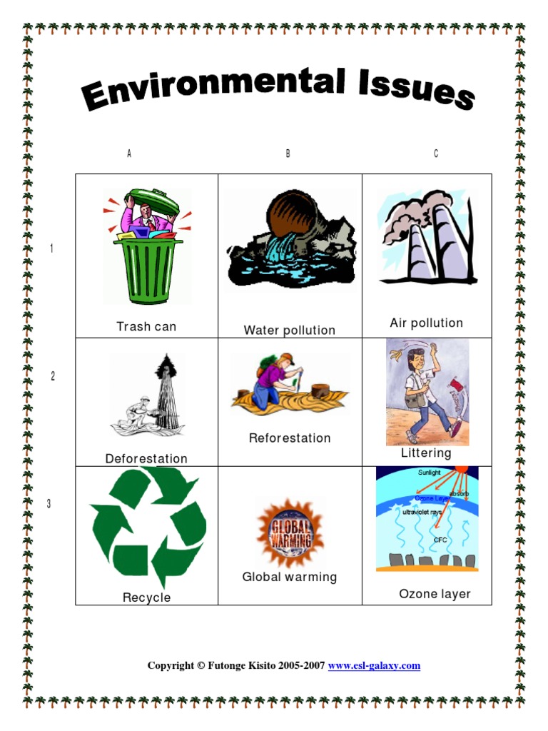 Environmental Issues | PDF