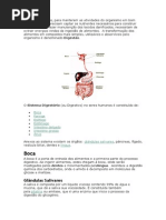 Sistema Digestório