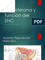 06 - Testosterona y Función Del SNC