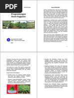 Download Pengembangan Buah Unggulan by ivan ara SN25402457 doc pdf