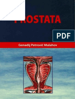 38816647-G-P-malahov-Prostata.pdf