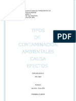 Tipos de Contaminación Ambientales_causas_efectos