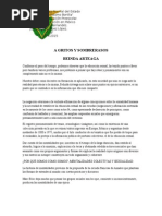 reporte de gritos y sombrerazos