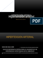 Hipertensión Arterial 