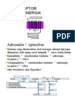 Adrenergic Dopamine Receptor