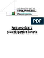 Resursele de Lemn Si Potentialul Pietii Din Romania