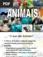 OFICINA DE CIENCIAS ANIMAIS.ppt
