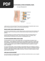 Quiropractico Wilmington - Los Nervios Pinchados y el Dolor de Espalda y Cuello