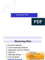 Marketing Plan & Audit