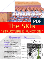 Skin Structure and Function