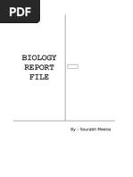 Download Drug Addiction - BIOLOGY by amar1972srb SN254093480 doc pdf