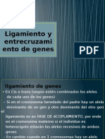 Ligamiento y Entrecruzamiento de Genes