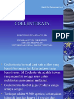 COELENTERATA