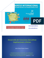 Desarrollofuncionesejecutivas PDF