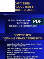 Oomycetes I Introduction & Saprolegniales