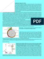 El Problema Del Origen de La Vida Es El Problema Del Origen de La Célula Articulo Tarea Jueves