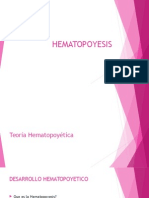 Hematopoyesis346241234