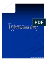 Tripanosomas