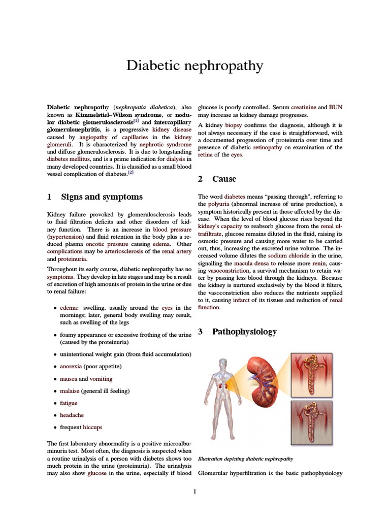 Diabetic nephropathy 1 Signs and symptoms 2 Cause
