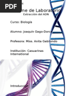 Informe de Laboratorio - Extraccion Del ADN