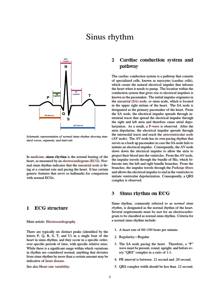 Sinus Rhythm: 2 Cardiac Conduction System and Pathway | PDF | Atrium ...