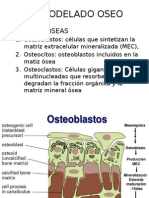 Remodelado Oseo-1