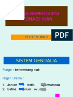 Organ Reproduksi