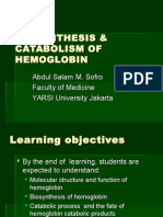 Biosynthesis of Hemoglobin