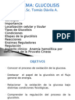 Glucólisis: proceso de oxidación de la glucosa