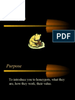 To Introduce You To Honeypots, What They