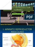 Aparato Reproductor-Mac - Gametogenesis 2010