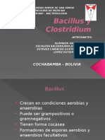 Bacillus Clostridium 