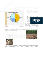 A Importância dos Solos e sua Conservação