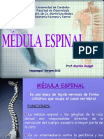 MEDULA ESPINAL.pdf