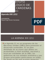 Desarrollo Agenda 21
