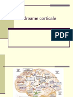 H.sindroame Corticale2012