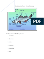 Fish Dissection Information Sheet - External Anatomy