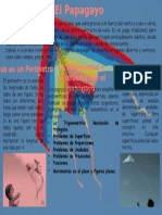 Infografia Papagayo Matematica