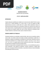 SD Carta Do Leitor Samantha e Igor