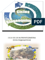 Ciclos Biogeoquimicos 
