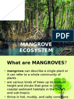 Mangrove Ecosystem