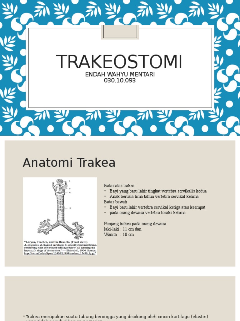 Panduan Trakeostomi dan Anatomi Trakea | PDF