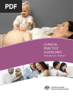 ANC Guidelines Mod1 v32