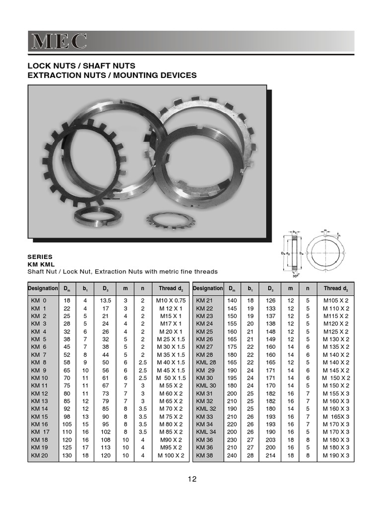 Lock Nut Washer PDF Screw Crafts