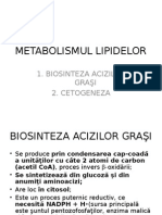 Metabolismul Lipidelor2