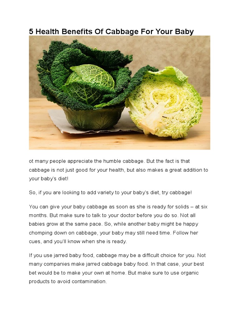 5 Health Benefits of Cabbage for Your Baby Cabbage Nitrate