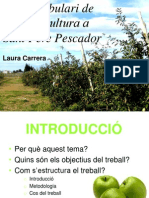 El Vocabulari de L'agricultura A Sant Pere Pescador