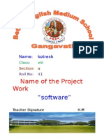 Name of The Project Work: "Software"