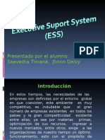 Sistema de Informacion ESS